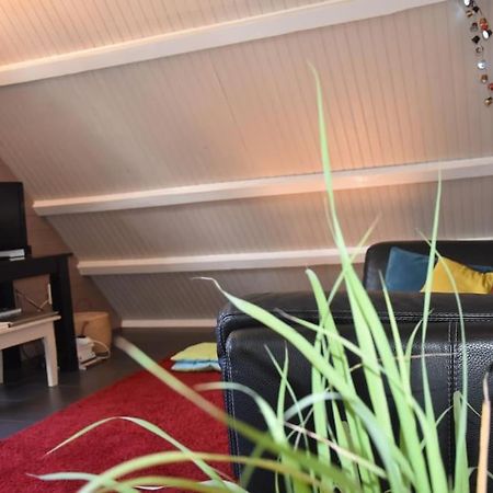 Le Strelitzia 1 Leilighet Cilaos Eksteriør bilde