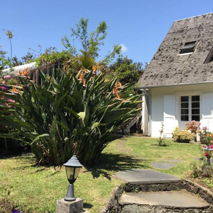 Le Strelitzia 1 Leilighet Cilaos Eksteriør bilde
